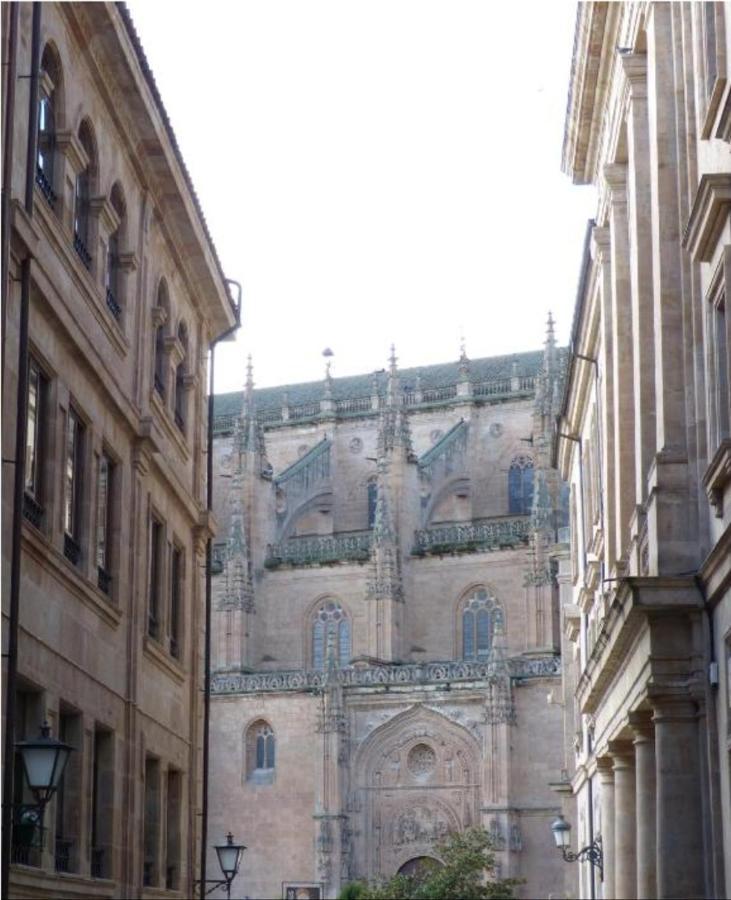 Las Catedrales De Salamanca Bagian luar foto